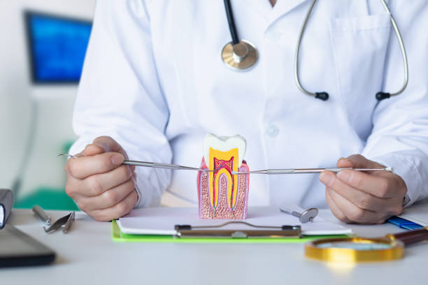 Best Broken or Chipped Tooth Repair in Samson, AL